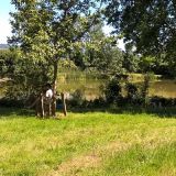 Taize19_5